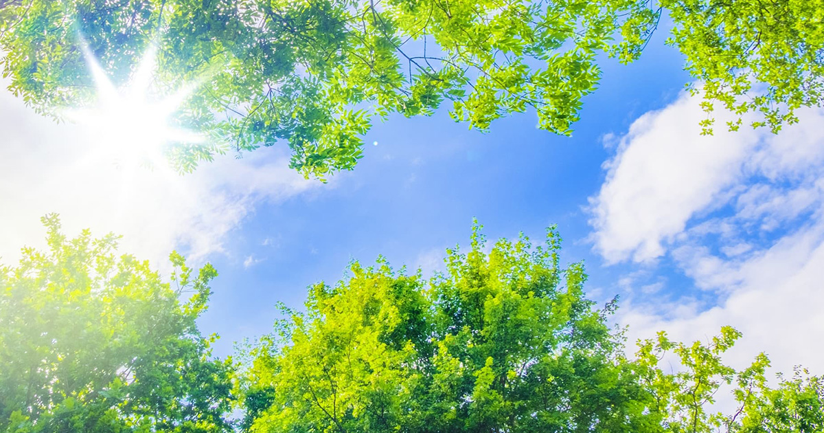 特別養護老人ホームくにさきの郷イメージ画像